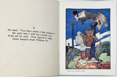 The Teddy Bearoplane; (photo 5)
