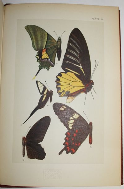 洋書 Fauna of British India Butterflies Vol I Fauna of British India: Butterflies. Vols 1-2 by Talbot, G | 1939
