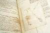 Opérations chirurgicales [Manuscript on The Hand]