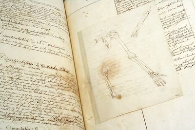 Opérations chirurgicales [Manuscript on The Hand]
