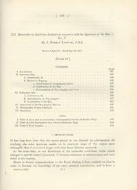 Researches in Spectrum-Analysis in Connexion with the Spectrum of the Sun. No. V (Philosophical...