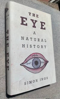 The Eye