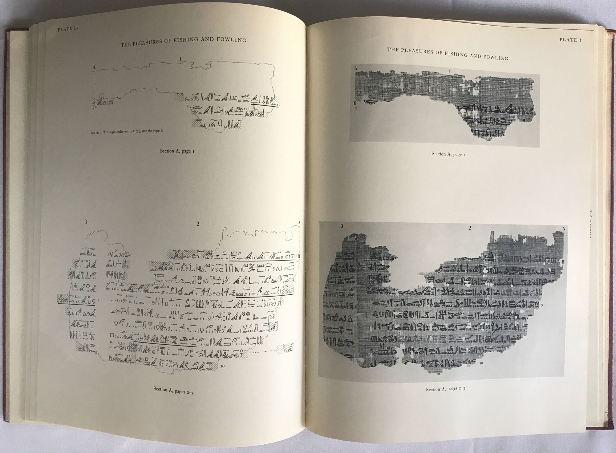 Biblio literary fragments in the hieratic script by caminos ricardo