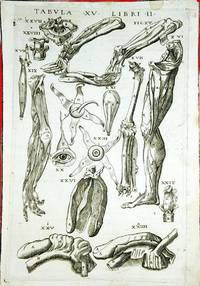 Anatomia del corpo humano nuovamente ristampata e con l'aggiunta d'alcune tavole ampliata 