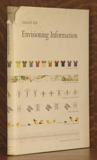 image of ENVISIONING INFORMATION