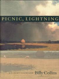 image of Picnic, Lightning