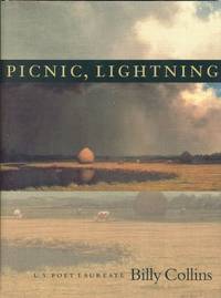 Picnic, Lightning