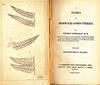 A Flora of Berwick-Upon-Tweed. Volume II. Cryptogamous Plants