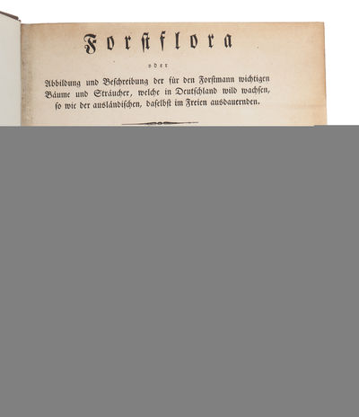 Forstflora oder Abbildung und Beschreibung der…