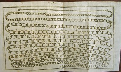 Considerazioni ed esperienze intorno al creduto cervello di bue impietrito; Considerazioni ed esperienze intorno all generazione de’vermi nel corpo umano...;