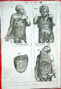 Anatomia del corpo humano nuovamente ristampata e con l