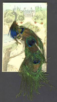 image of Peacock postcard decorated with real feathers