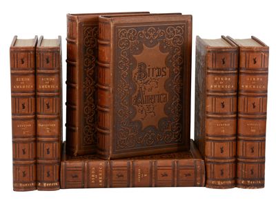 New York: V.G. Audubon, 1856. Second octavo edition, the first edition with fully colored background...