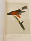 View Image 10 of 15 for The Birds of America, from Drawings Made in the United States and Their Territories Inventory #140946970