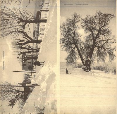 Vinter i Drammen og Omegn. (Leporelloalbum). (photo 2)