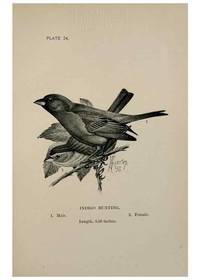 Reproducción/Reproduction 7180172259: Birdcraft :. New York :Macmillan Co.,c1897.