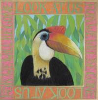 Wrinkled Hornbill Art Print: Look At Us