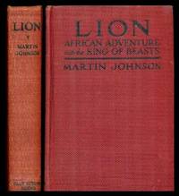 image of LION - African Adventure with the King of Beasts