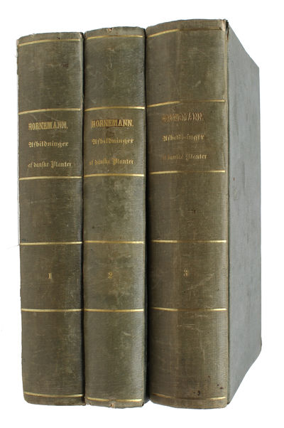 Afbildninger af danske oeconomiske Planter, med Beskrivelse over deres Egenskaber og Anvendelse. I Systematisk Orden efter Professor og Ridder Hornemann's danske oeconomiske Plantelære. 3 vols. (+) Afbildninger i Særdeleshed af de vigtigste vildvokse... - [ONE OF THE MOST BEAUTIFUL WORKS ON PLANTS IN DANISH] (photo 2)