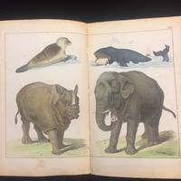 Bilder zum Anschauungs-Unterricht für die Jugend. Enthaltend 30 colorirte Blätter auf cartonirt Papier mit Abbildungen verschiedenartiger Gegenstände