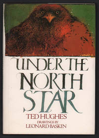 Under the North Star
