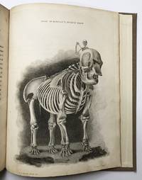 A Series of Engravings representing the Bones of the Human Skeleton by John Barclay - 1824