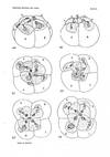 Mitosis and amitosis in Biological Bulletin XXXIII (6):396-437, December 1917
