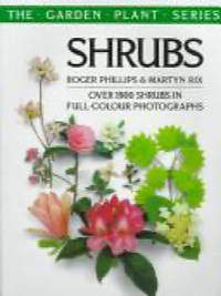 Shrubs