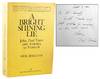 A Bright Shining Lie