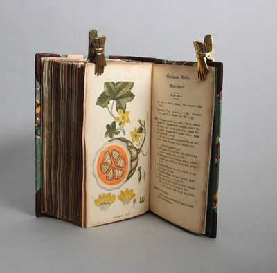 Herbarium pharmaceuticum eller Afbildninger til Professorernes Herholdts og Schumachers Fortegnelse over de officielle Lægemidler af Planteriget, som voxe vildt, eller kunne dyrkes i de danske Stater. Første-niende hefte. (photo 2)