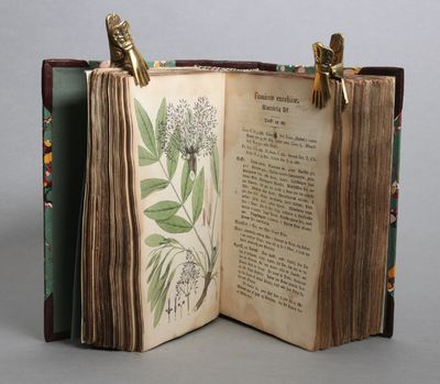 Herbarium pharmaceuticum eller Afbildninger til Professorernes Herholdts og Schumachers Fortegnelse over de officielle Lægemidler af Planteriget, som voxe vildt, eller kunne dyrkes i de danske Stater. Første-niende hefte. (photo 3)