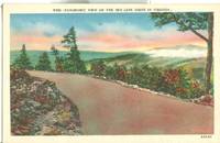 Panoramic view on the Sky-Line drive in Virginia, unused Postcard