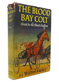 image of THE BLOOD BAY COLT