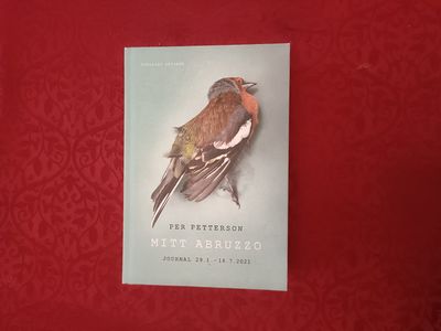 Mitt Abruzo. Journal 29.1 - 18.7.2021