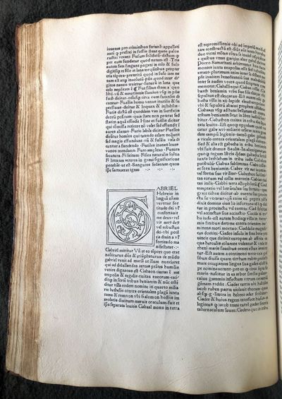 Glossae