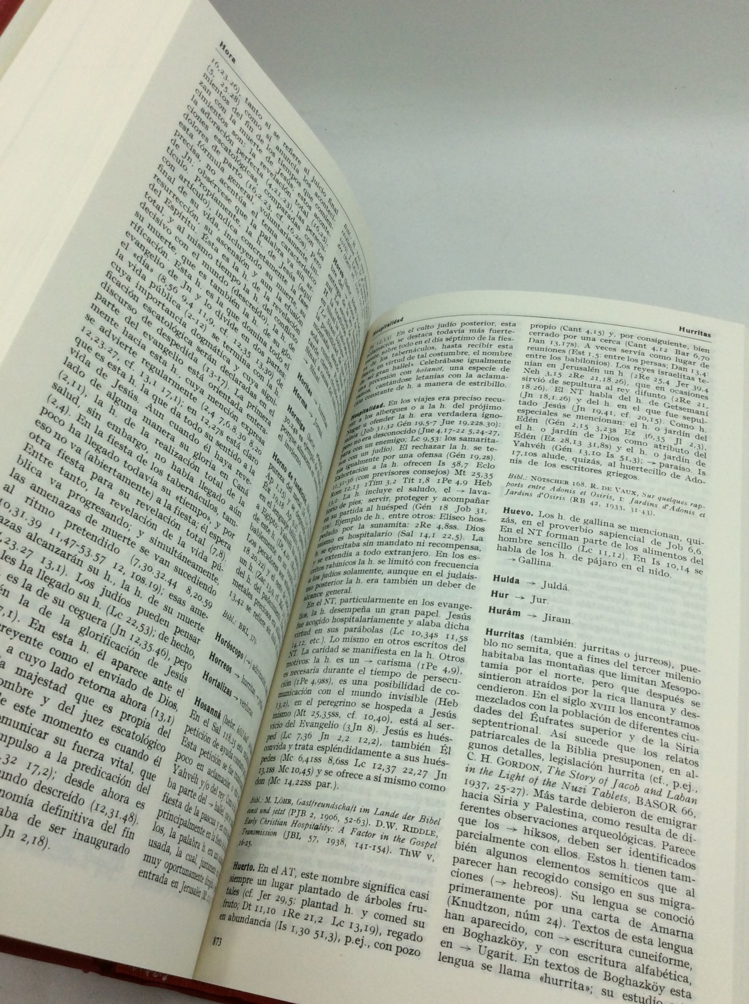 DICCIONARIO DE LA BIBLIA by R.P. Serafin De Ausejo, O.F.M. Cap ...