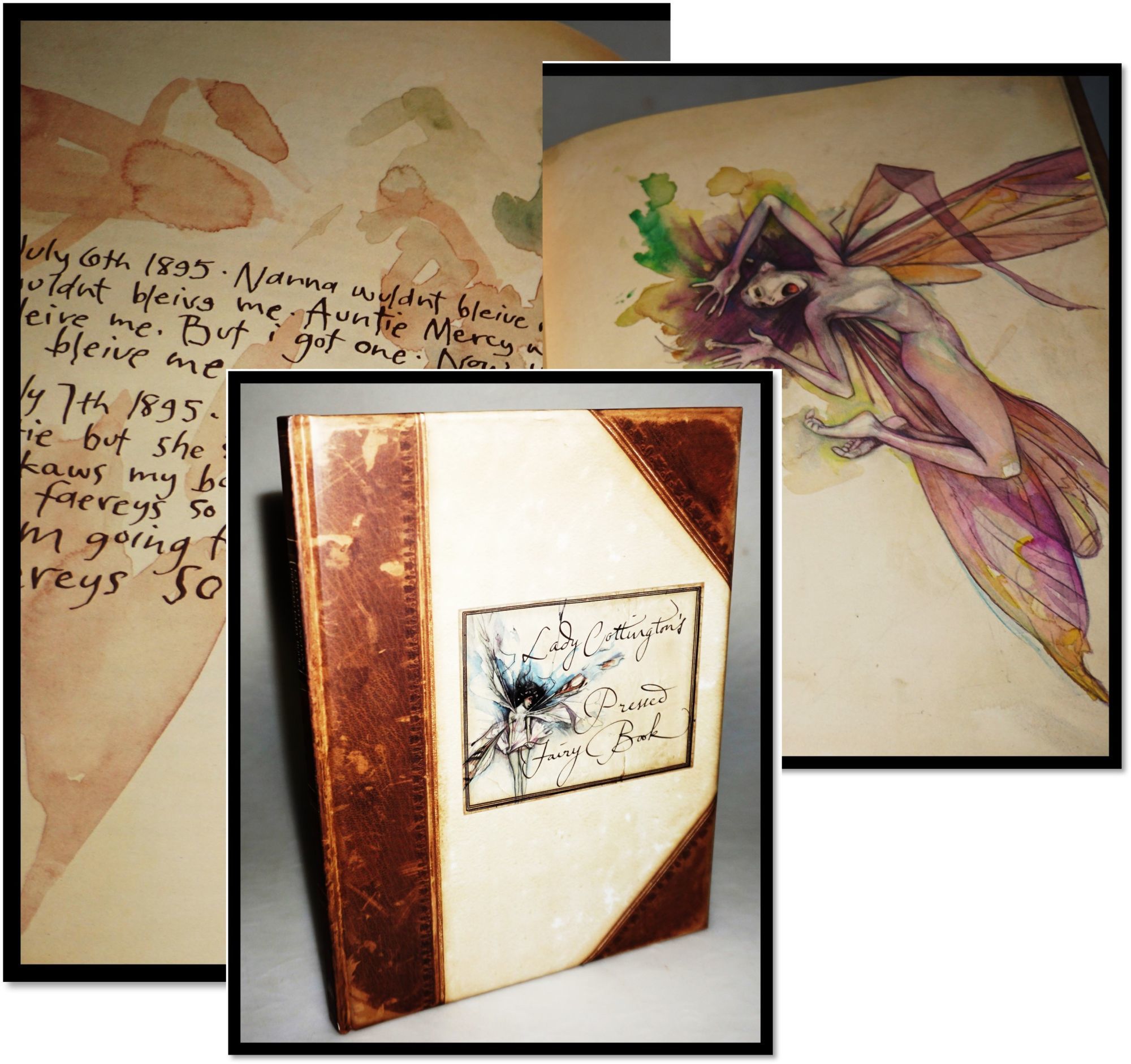 Lady Cottington's Pressed Fairy Book by Jones, Terry | A