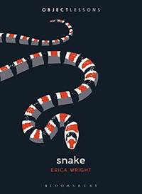 Snake (Object Lessons)