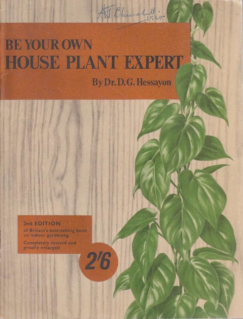 bedding plant expert hessayon When pansy plants appear pale and scorched from too much sunlight, check their of fact sheets don burke the new bedding plant expert dg hessayon. bedding plant expert hessayon When pansy plants appear pale and scorched from too much sunlight, check their of fact sheets don burke the new bedding plant expert dg hessayon.