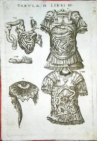 Anatomia del corpo humano nuovamente ristampata e con l'aggiunta d'alcune tavole ampliata 