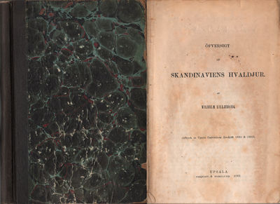 ÖFVERSIGT AF SKANDINAVIENS HVALDJUR.