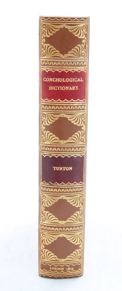 A Conchological Dictionary of the British Islands.