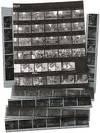 Photographic Negatives and Contact Prints from the 1980 New York City Gay Pride Parade