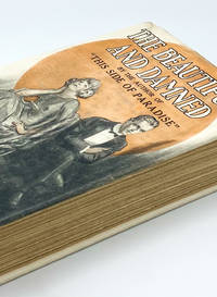 cover of THE BEAUTIFUL AND DAMNED