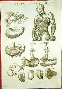 Anatomia del corpo humano nuovamente ristampata e con l