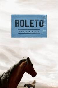 Boleto : A Novel by Alyson Hagy - 2012