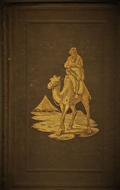 The Camel Hunt