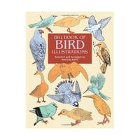Big Book of Bird Illustrations