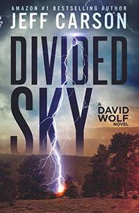 Divided Sky: 13 (David Wolf Mystery Thriller Series)