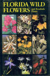 Florida Wild Flowers And Roadside Plants